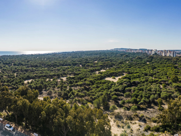 Vista Panorámica desde Terraza
